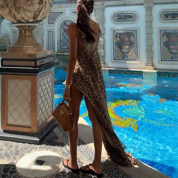 Chiffon Printed Suspender Dress INS Vacation Loose Leopard Print Two-piece Set For Women - Image 4
