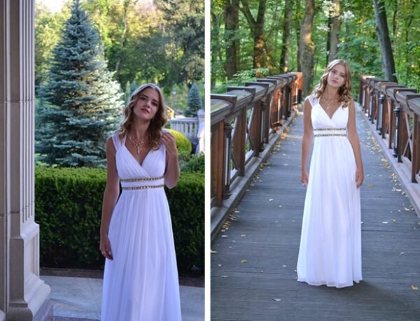 Formal Long Elegant V-Neck dress - Image 2